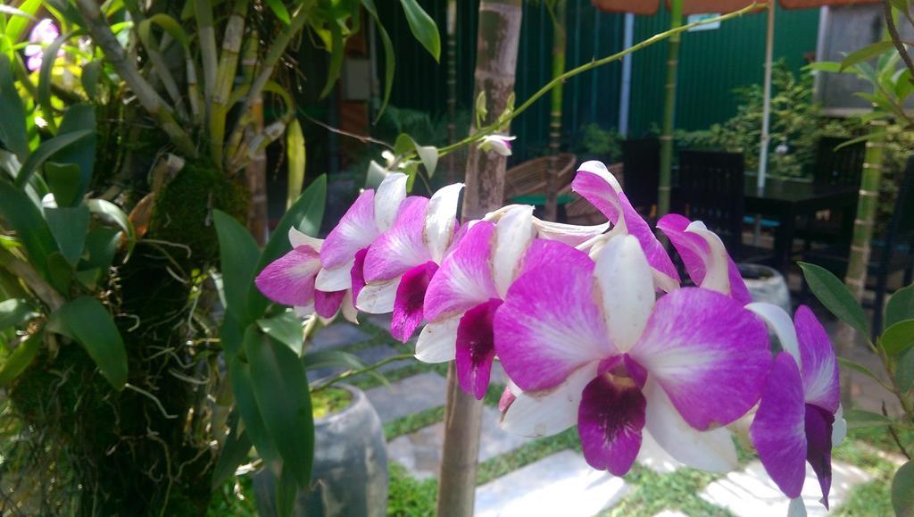 Siem Reap Green Home Guesthouse Luaran gambar